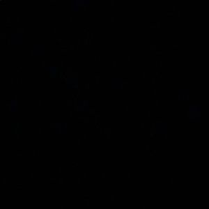 Meet your Posher, Cole